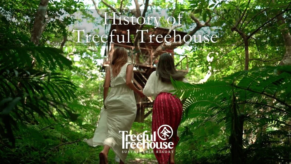 History of Treeful ツリーフルの歴史 History of Treeful ツリーフルの歴史