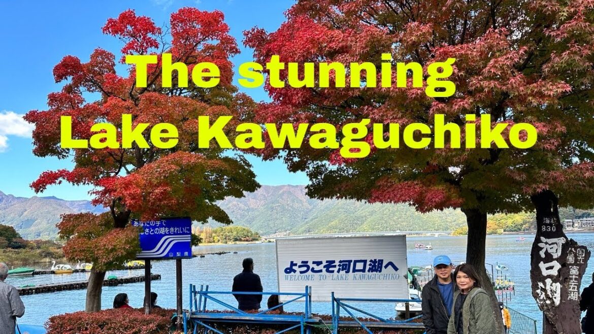 Japan Travel 2023 Tips – The Day We Saw Mt Fuji - Part 1