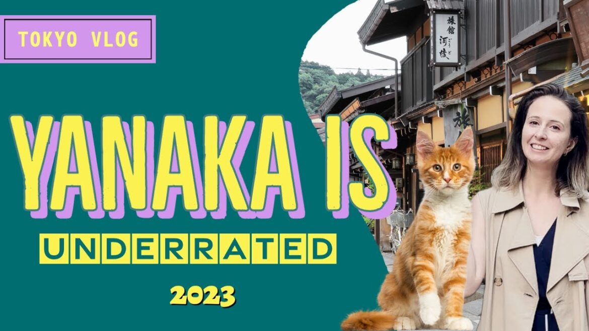 MUST visit in Tokyo: YANAKA | Tokyo's Timeless Shitamachi District | Tokyo Vlog 2023