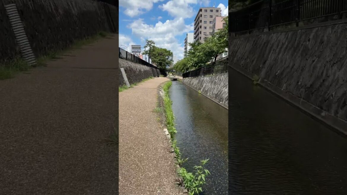 Kyoto Horikawa Summer in Japan July 2023 #kyoto #japanwalk #walkingtour #walking #japanwalkingtour