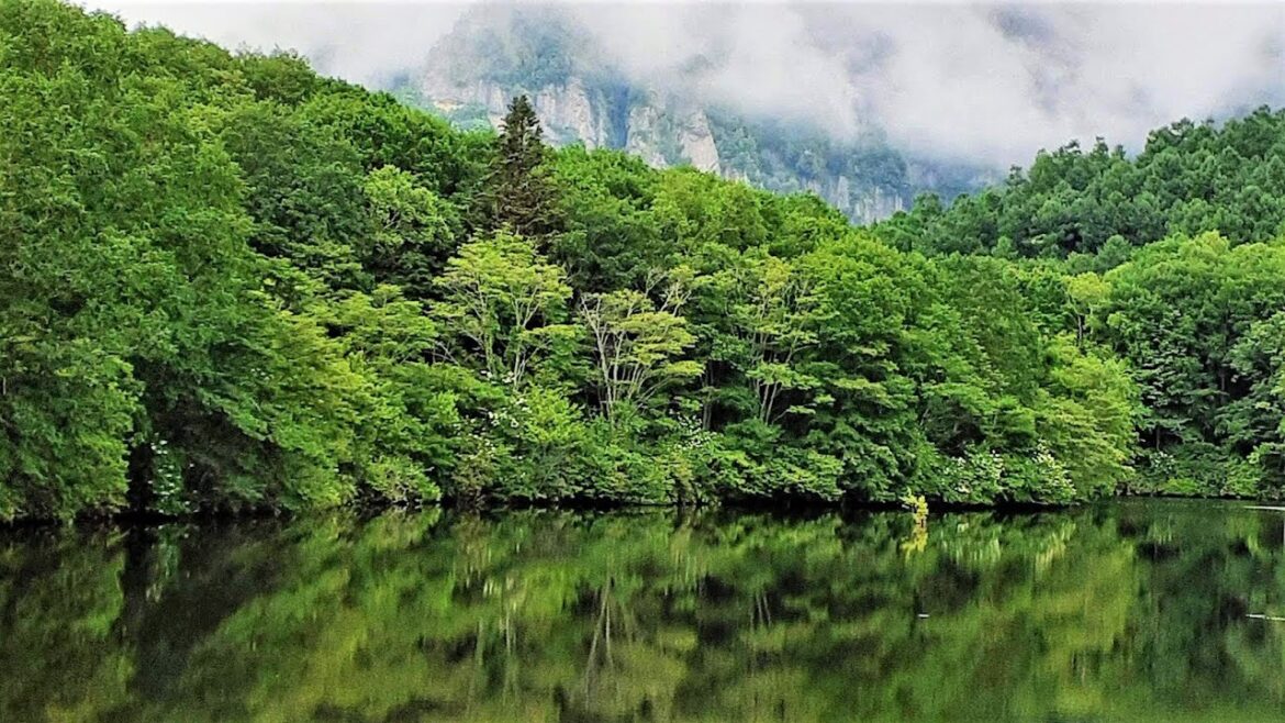 Driving Zenkoji Temple to Togakushi Highlands