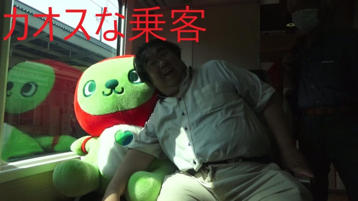 リゾートビューふるさとに乗ってきた　大糸線　中央本線　JR東日本