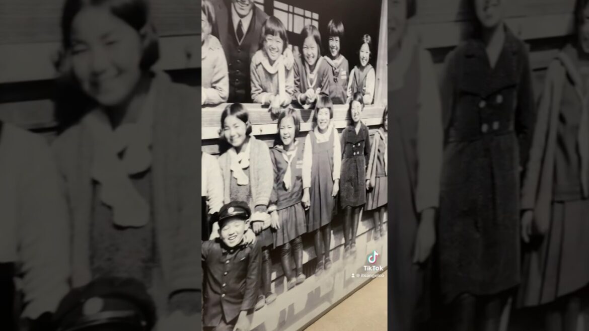 Hiroshima Museum #travel #reels #tiktok #hiroshima