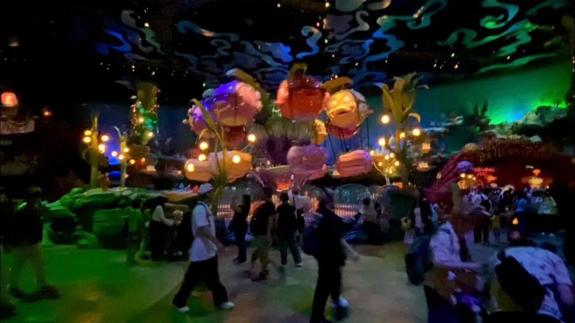 Tokyo DisneySEA. Full Park Tour and Attractions in 1 Day.