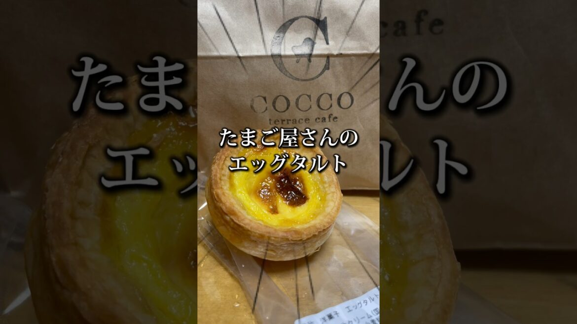 北海道の卵を使った絶品エッグタルト「サクサクトロトロが美味」濃厚たまごスイーツ #shorts