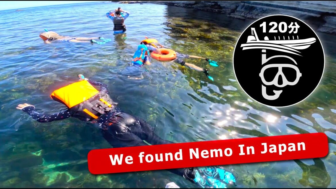 Snorkeling at a secret beach in Katsuura Chiba Japan simply stunning