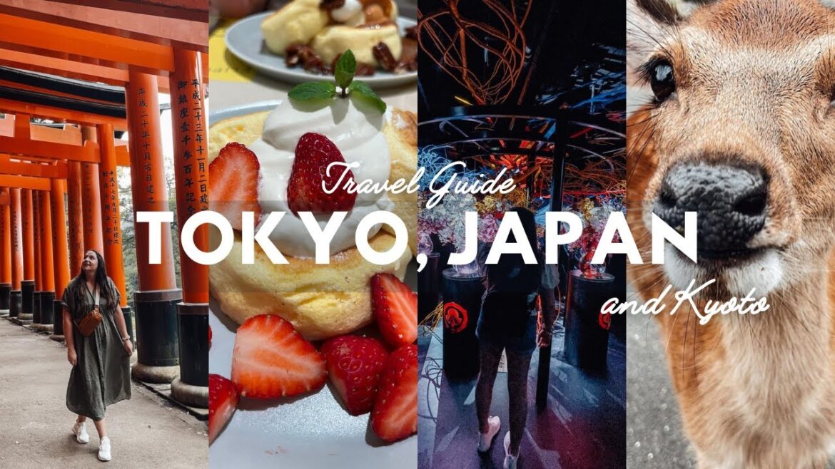 TOKYO, JAPAN | 10 Day Travel Guide (2023)