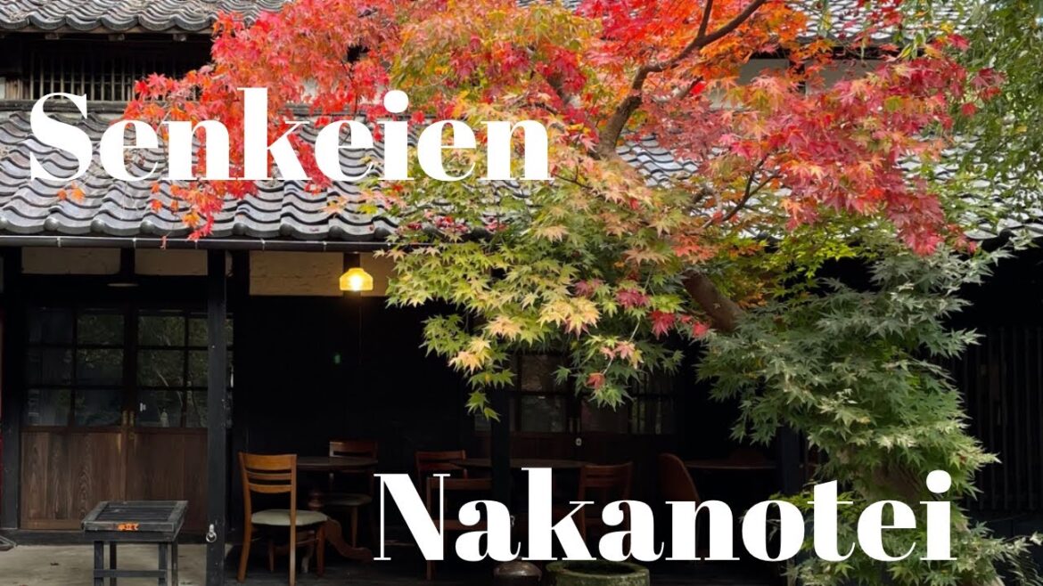 【新潟】紅葉の季節だけ開園　新潟石油王の大邸宅　中野邸記念館・泉恵園の紅葉【Niigata】