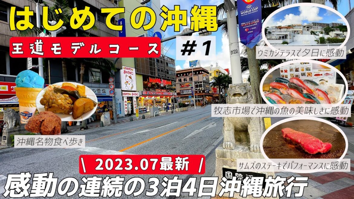 【2023.7沖縄3泊4日#1】初めての沖縄で感動の連続!! 国際通り 第一牧志市場 ウミガメテラス サムズ アンカーイン サーターアンダギーやテビチなど名物を食べてきました 【2023.7沖縄3泊4日#1】初めての沖縄で感動の連続!! 国際通り 第一牧志市場 ウミガメテラス サムズ アンカーイン サーターアンダギーやテビチなど名物を食べてきました