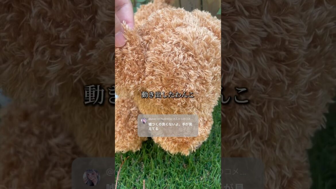 ゲームセンターの犬「嘘だと言われるのなぁぜなぁぜ？」疑惑の神の手をVAR検証＆わんこが動きだした深い理由を説明します #shorts