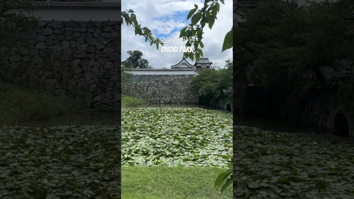 일본여행 후쿠오카 오호리 공원 Ohori park #여행 #travel #japan #fukuoka #shorts 일본여행 후쿠오카 오호리 공원 Ohori park #여행 #travel #japan #fukuoka #shorts