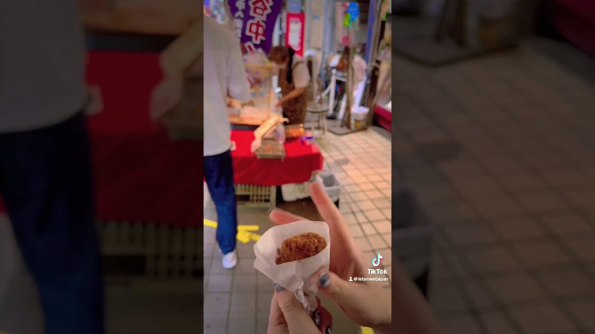 Day trip to Yanaka Ginza #japan #travel #daytrip #japanlover #lifeinjapan #yanaka #shavedice Day trip to Yanaka Ginza #japan #travel #daytrip #japanlover #lifeinjapan #yanaka #shavedice