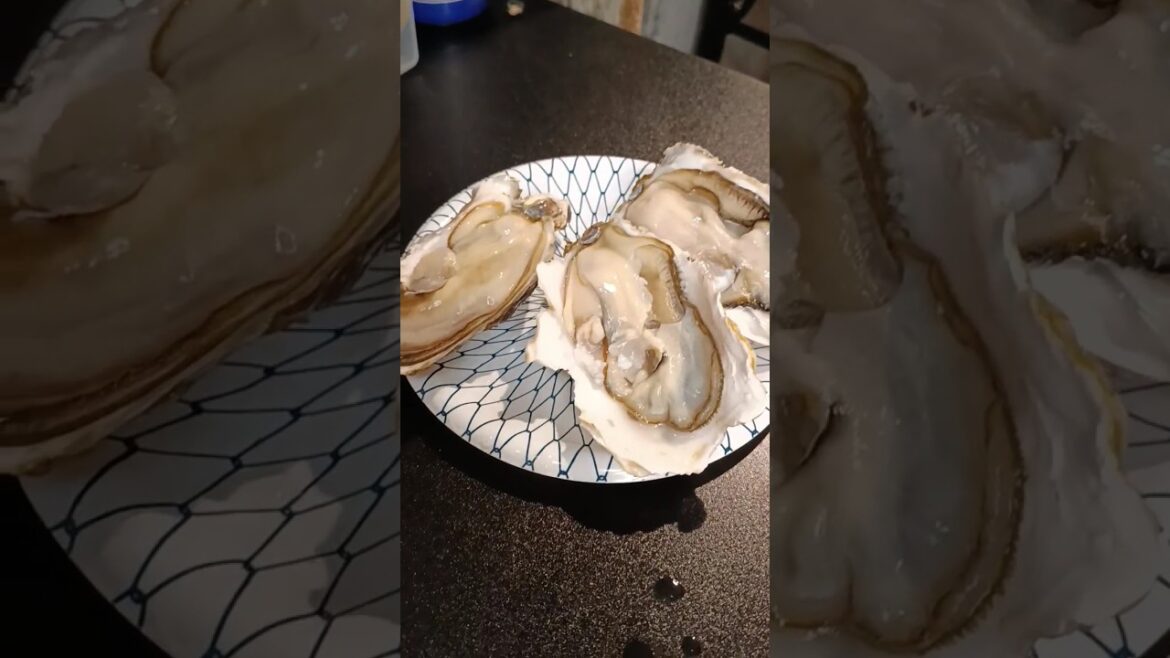 Fresh Oysters Sashimi