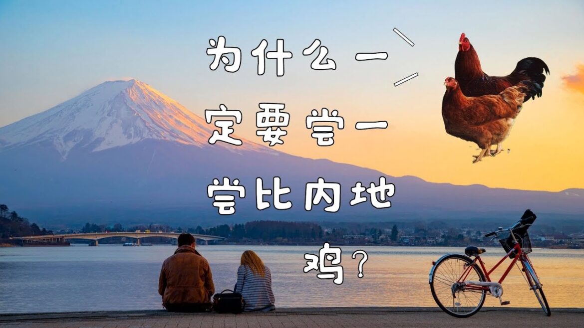在日本寻找最美味的鸡肉:为什么一定要尝一尝比内地鸡? 在日本寻找最美味的鸡肉:为什么一定要尝一尝比内地鸡?