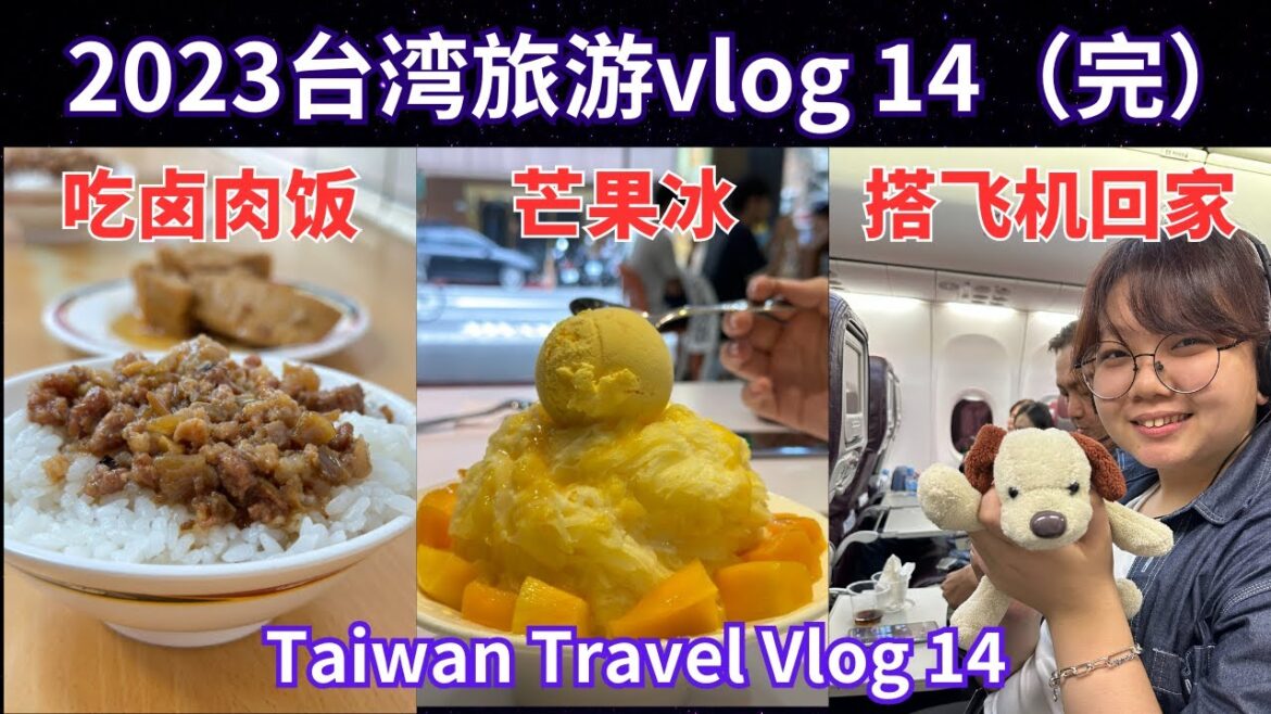 台北自由行最后一天我们去西门町去卤肉饭，芒果冰，最后搭机场捷运上机场，吃了桃园机场美食，安全回家。Taiwan Travel vlog 14