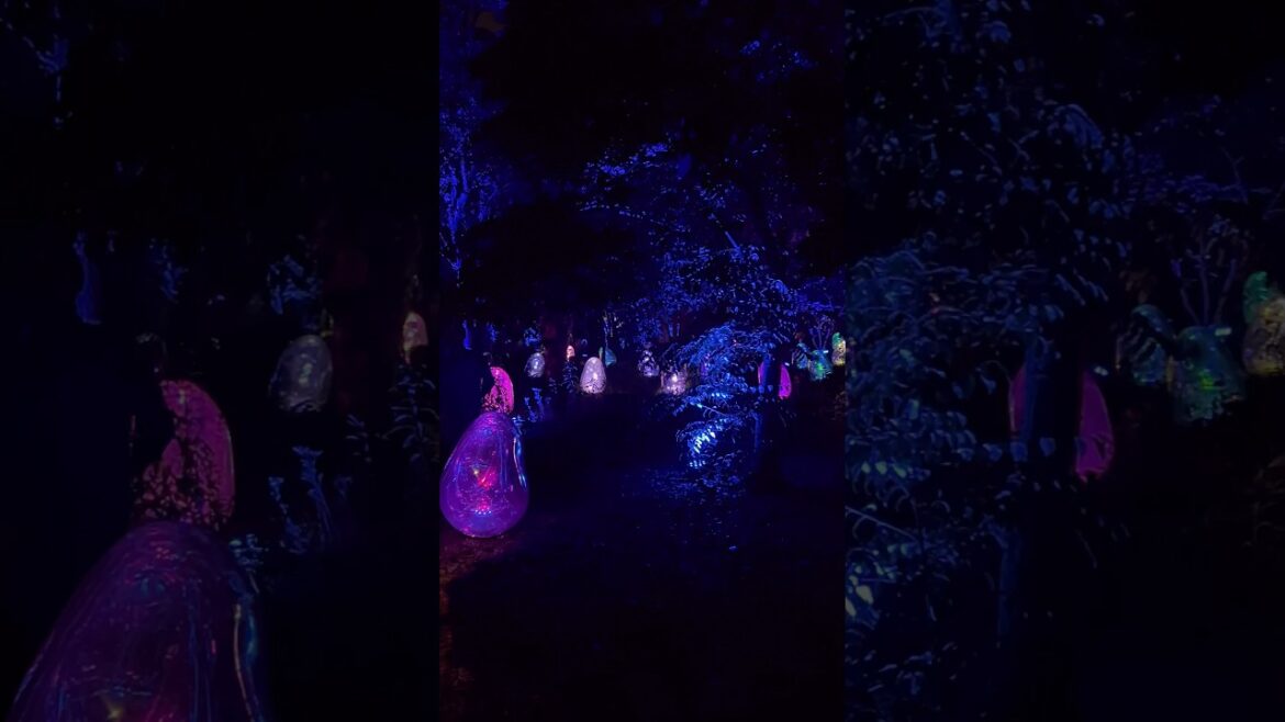 Come Explore The Enchanting World Of Teamlab's Osaka Botanical Garden! #shorts #osaka #japantravel