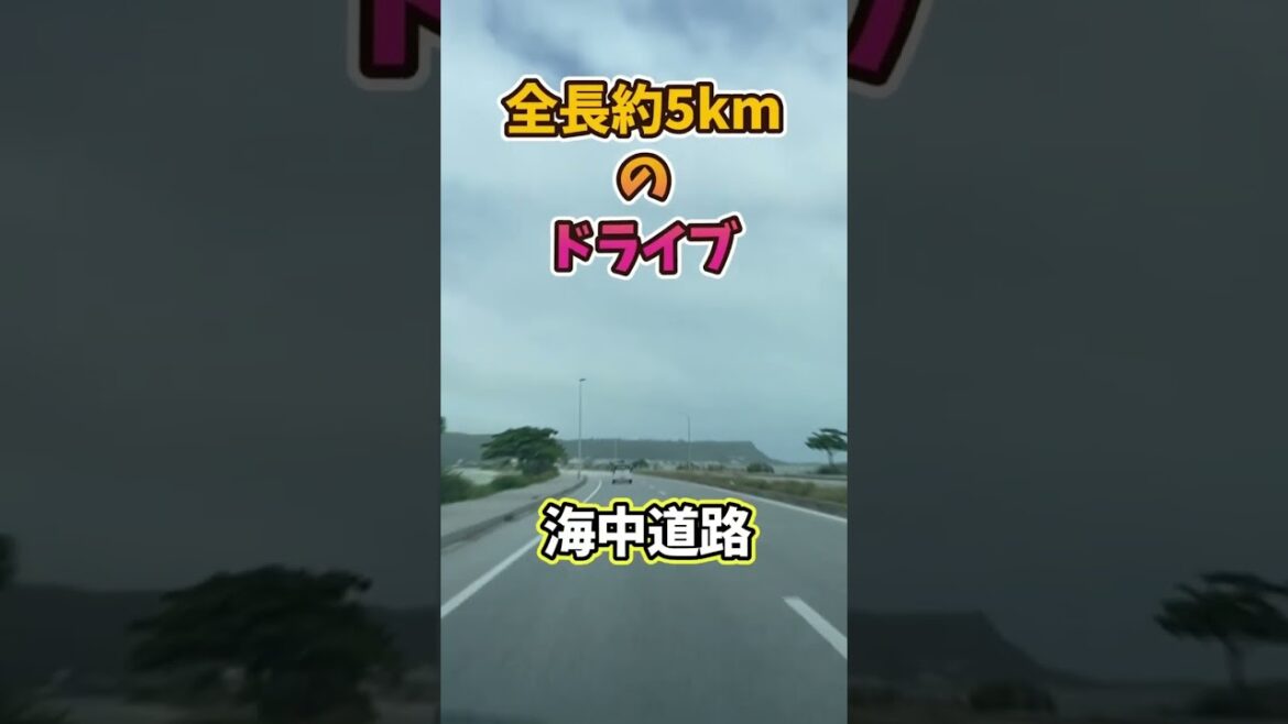 🌈沖縄オススメ観光スポット #沖縄旅行 #沖縄 #shorts