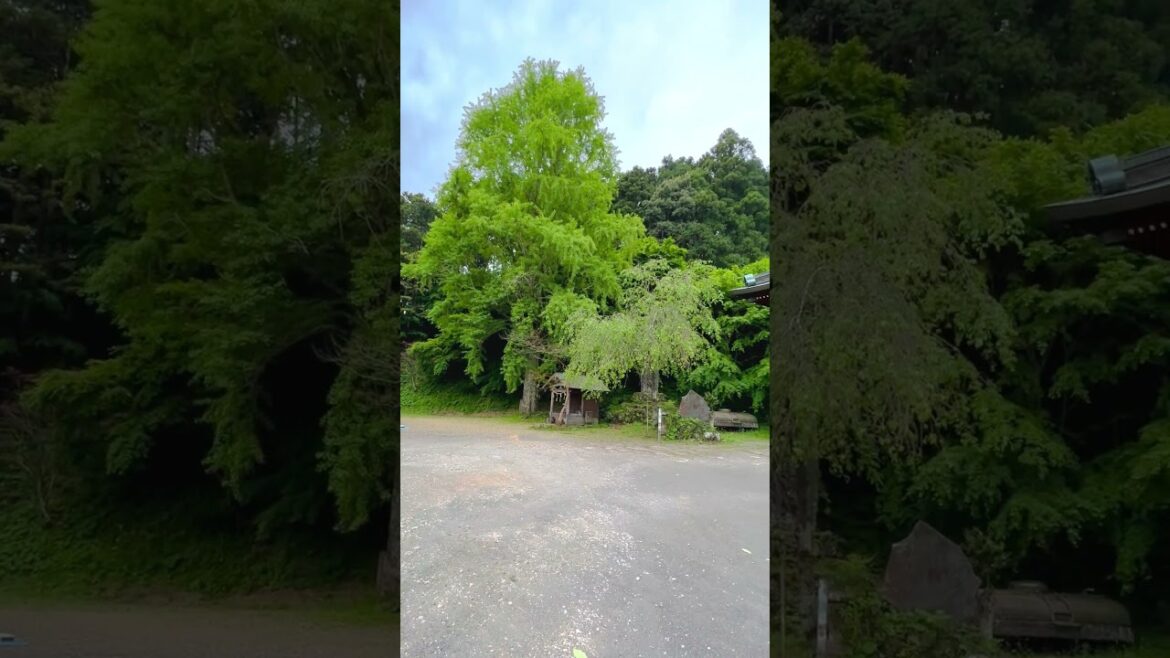 Quaint Japanese Shrine in Chiba