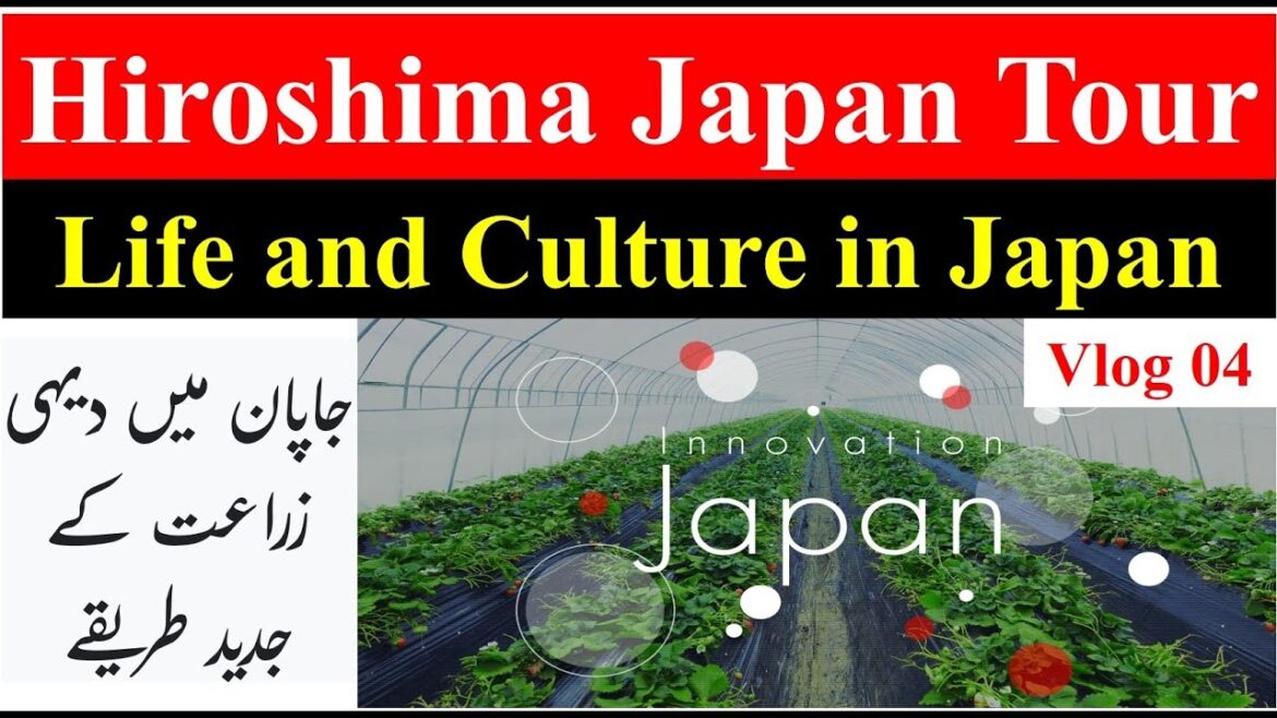 Trip to HIROSHIMA, Japan | Vlog 4 | Advanced Rural Farming Methods in Japan| Life & Culture in Japan
