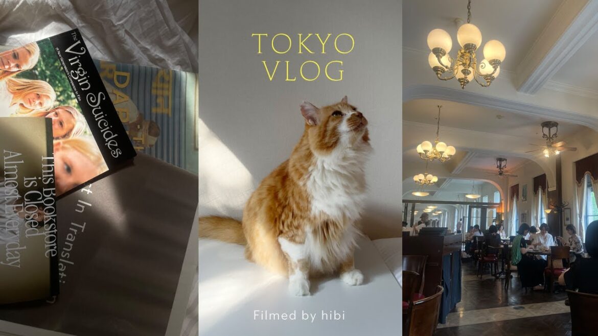 vlog.東京で過ごす七夕🗼zara HAUL👡代田橋 / 渋谷 / 下北沢 / 横浜 🐈過ぎていく日々の記録🌱