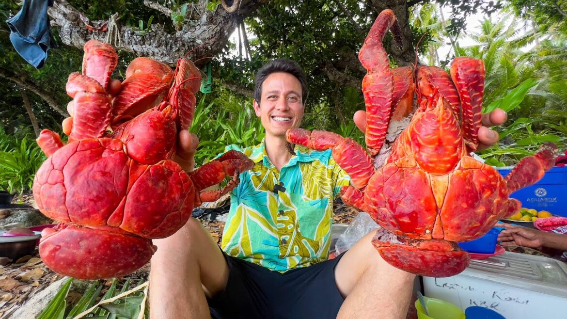 Huge Coconut Crab!! 🦀 (UNLIKE Any Other Crab on Earth!!) South Pacific Islands Huge Coconut Crab!! 🦀 (UNLIKE Any Other Crab on Earth!!) South Pacific Islands
