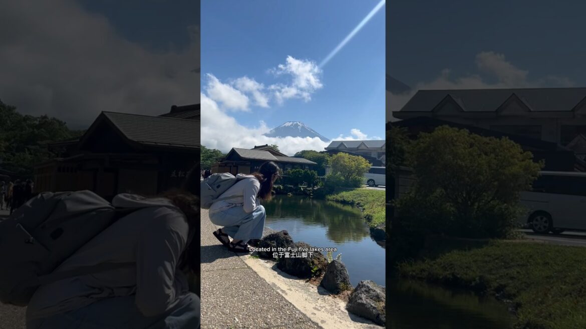 Solo travel in Japan Day 11 #oshinohakkai #mountfuji #japantravel