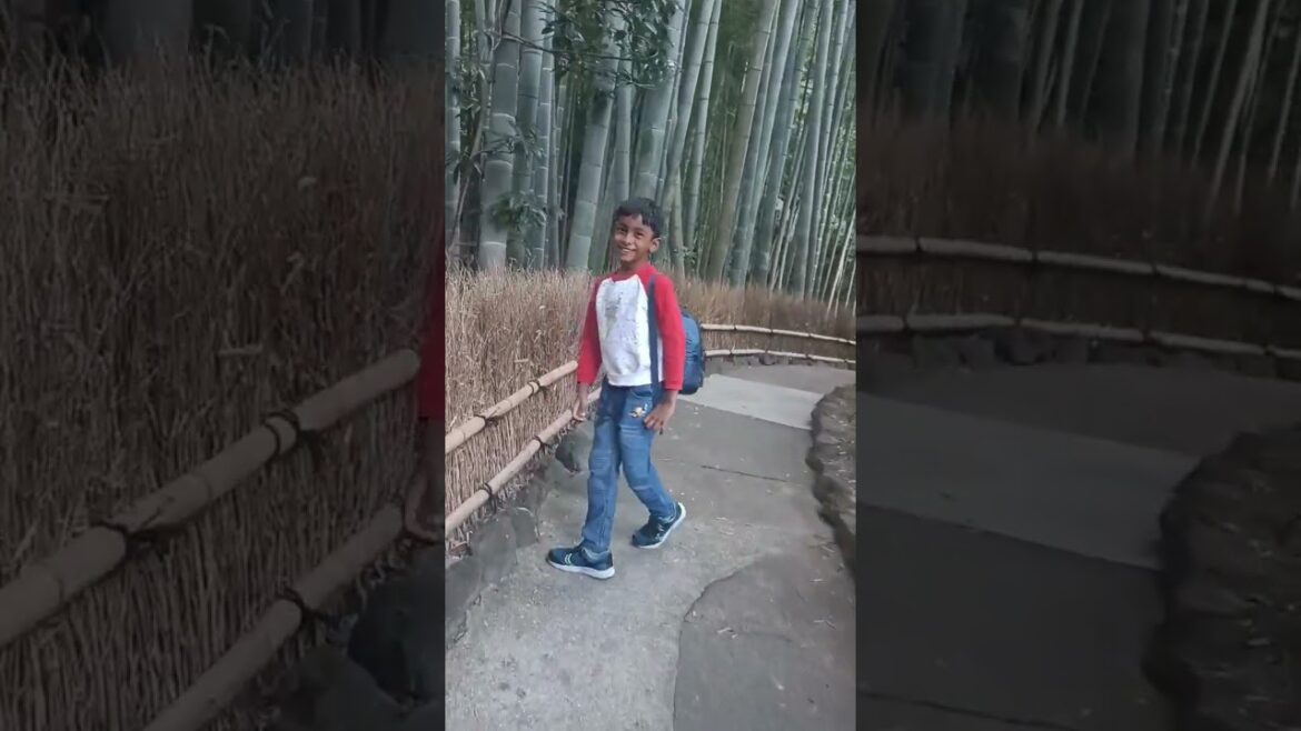Hokoku-ji temple, Japan.