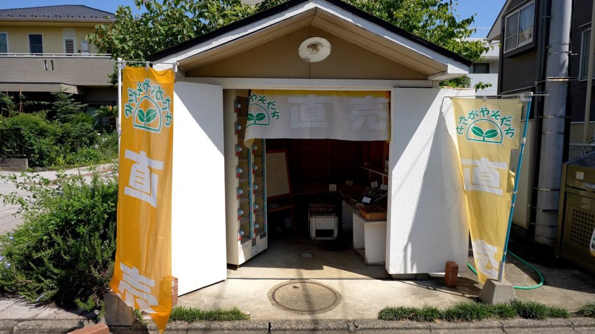 Spotted an Unmanned Roadside Store while Exploring a Residential Area (Tokyo Japan Walk 4K)