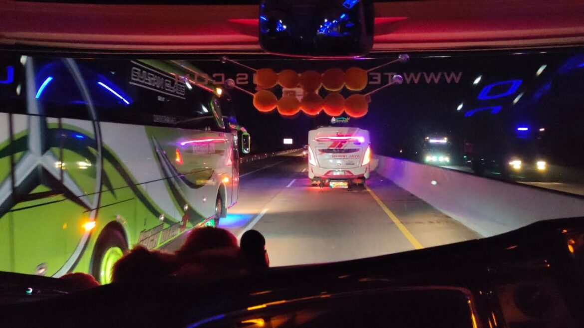 Bus Balapan Kalingga jaya, murni jaya, bin Ilyas ngebut di Tol trans Jawa Bus Balapan Kalingga jaya, murni jaya, bin Ilyas ngebut di Tol trans Jawa