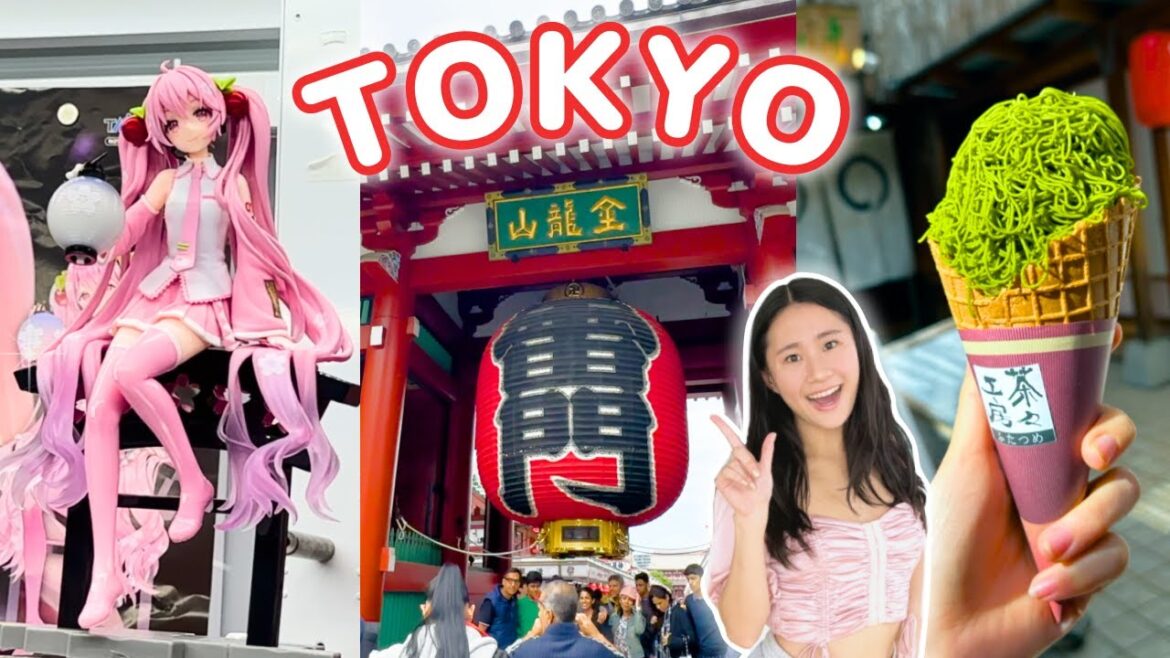 What to do in TOKYO (for WEEBS): anime, akihabara, sanrio, teamlab, & what to eat! What to do in TOKYO (for WEEBS): anime, akihabara, sanrio, teamlab, & what to eat!