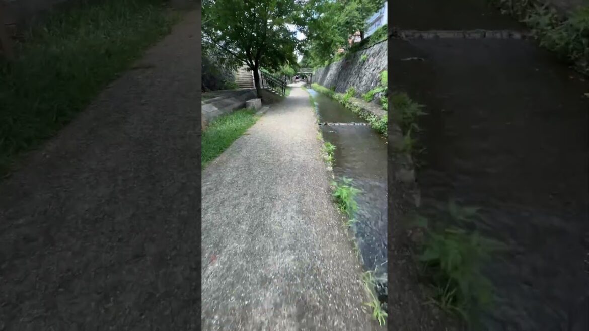 Kyoto Horikawa Summer in Japan July 2023 #kyoto #japanwalk #walkingtour #walking #japanwalkingtour