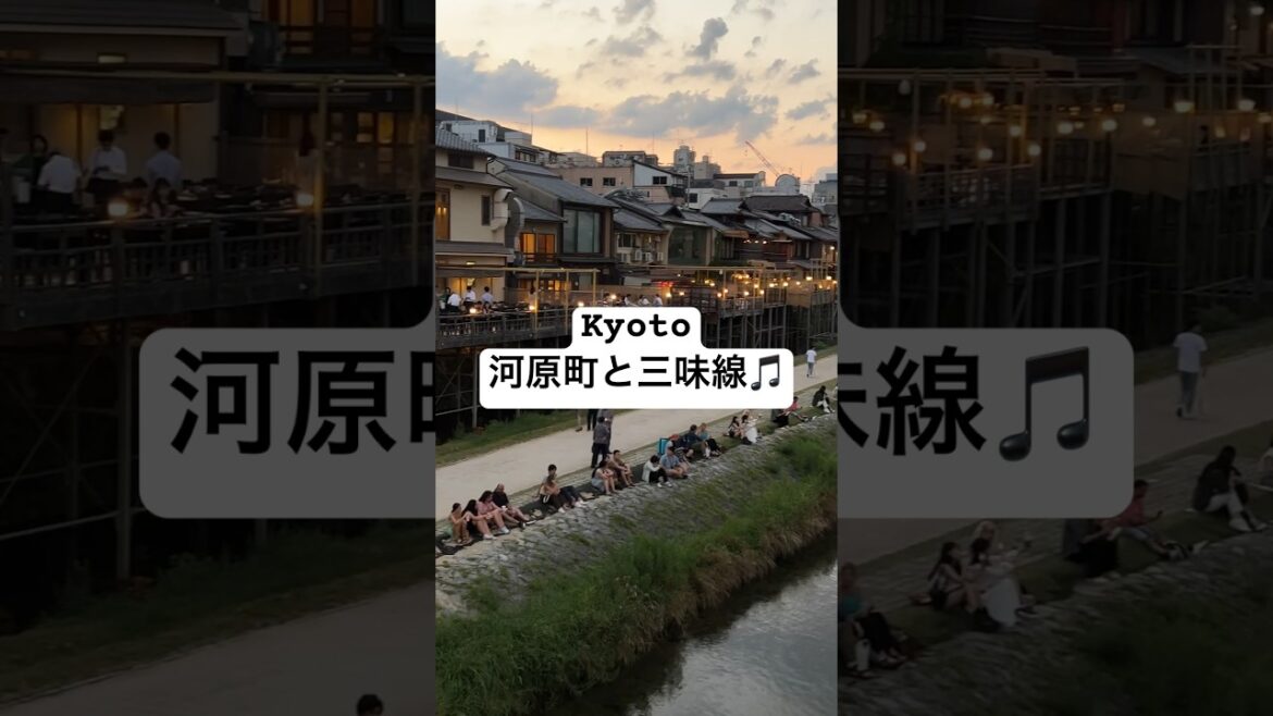 京都と三味線🎵 KYOTO, Travel  #一人旅 #京都観光 #kyoto #travel #japan