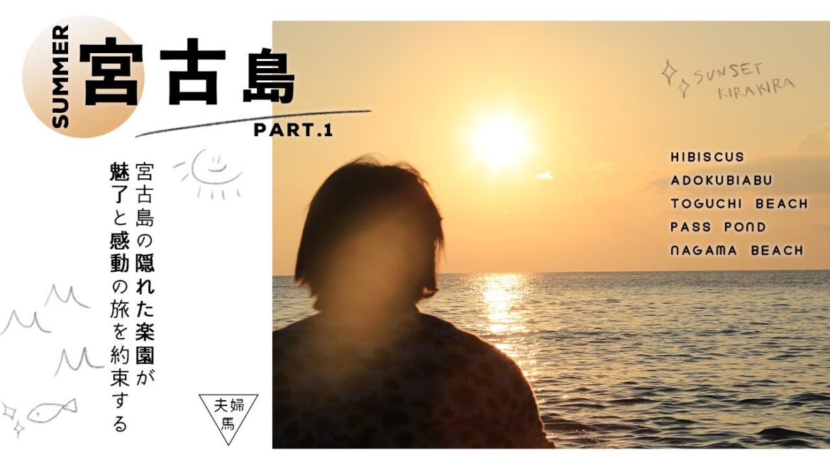 【宮古島旅行VLOG】宮古島の秘境を徹底探検!海の奇跡を体験せよ/青い洞窟/ヌドクビアブ/通り池【穴場スポット】 【宮古島旅行VLOG】宮古島の秘境を徹底探検!海の奇跡を体験せよ/青い洞窟/ヌドクビアブ/通り池【穴場スポット】