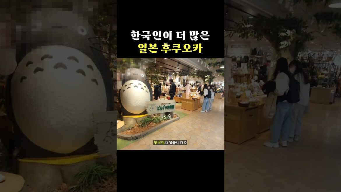 한국인이 더 많은 일본도시