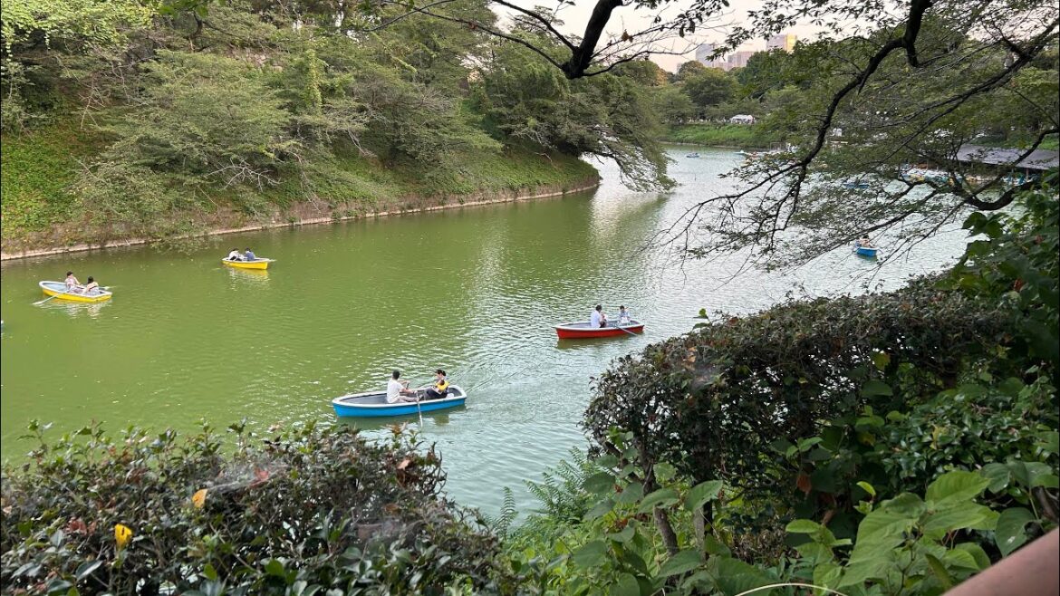 हम गए Chiyoda #tokyo #lantern #festival मैं// Magical Night Of Light” #vlog 16 हम गए Chiyoda #tokyo #lantern #festival मैं// Magical Night Of Light" #vlog 16