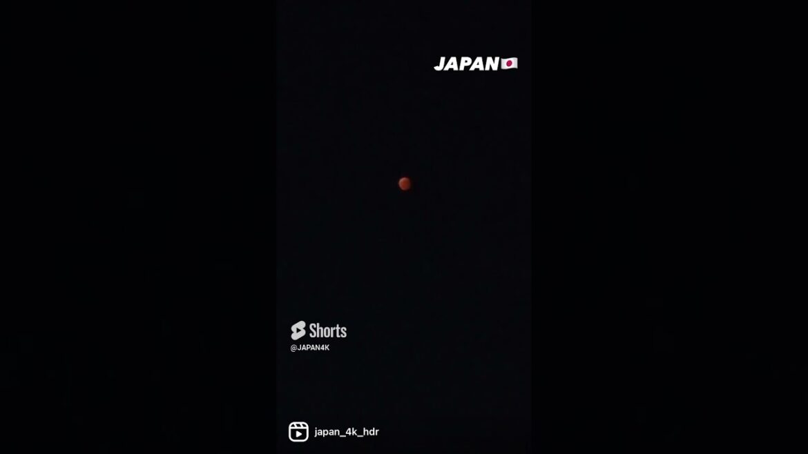 π Japan π―π΅ #shorts #japan #tokyo π Japan π―π΅ #shorts #japan #tokyo