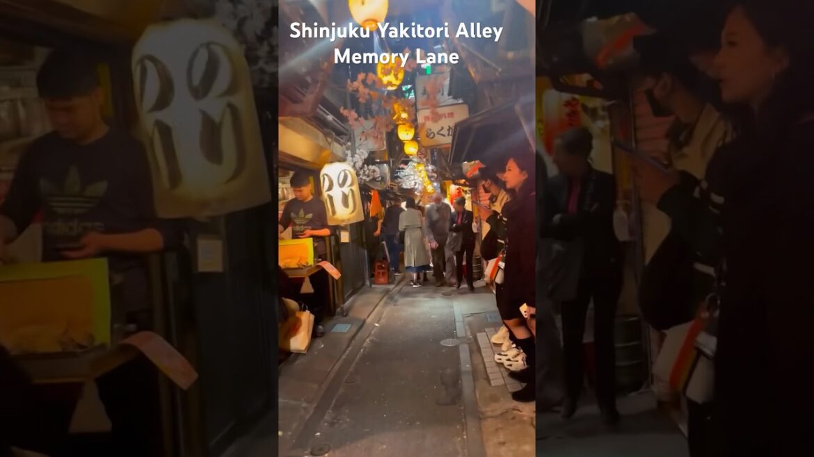 Yakitori Alley, Omoide Yokocho or Memory Lane in Tokyo, at Shinjuku Station