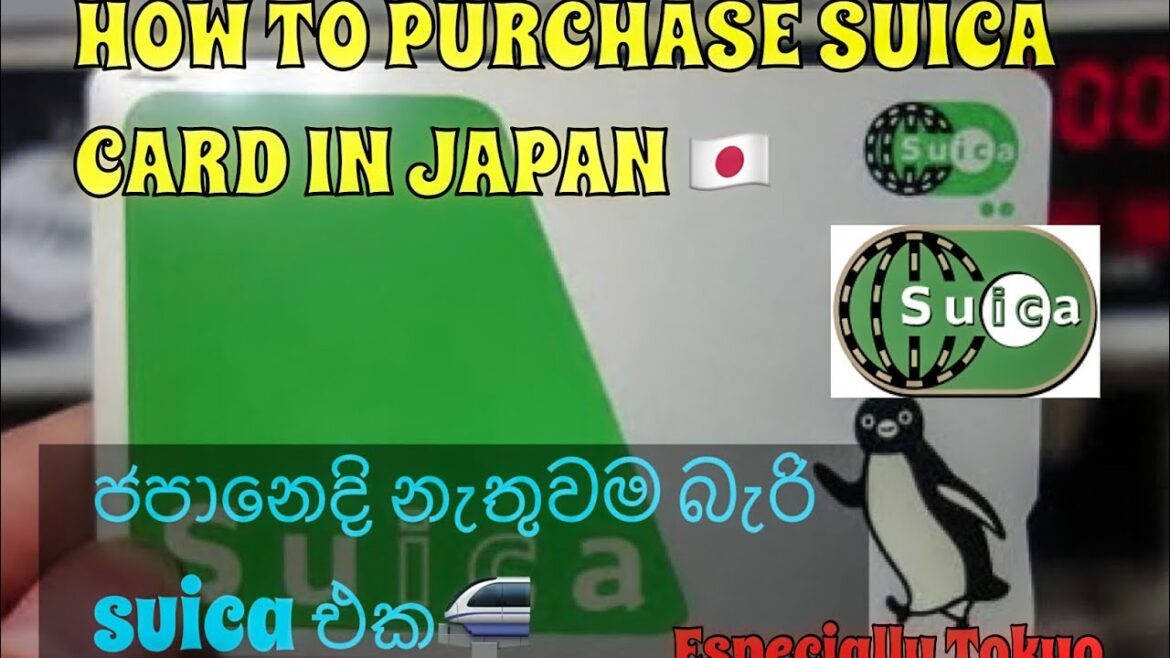 How to purchase the suica card in japan 🇯🇵 | Tokyo smart travel card🎫නැතුවම බැරි suica එක🚝