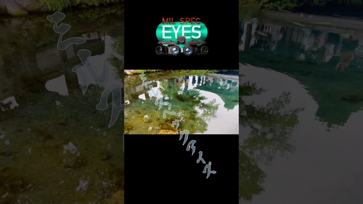 Adventure in Japan #travel #trip #Japan #nature #adventure #bilingual #sightseeing #venus