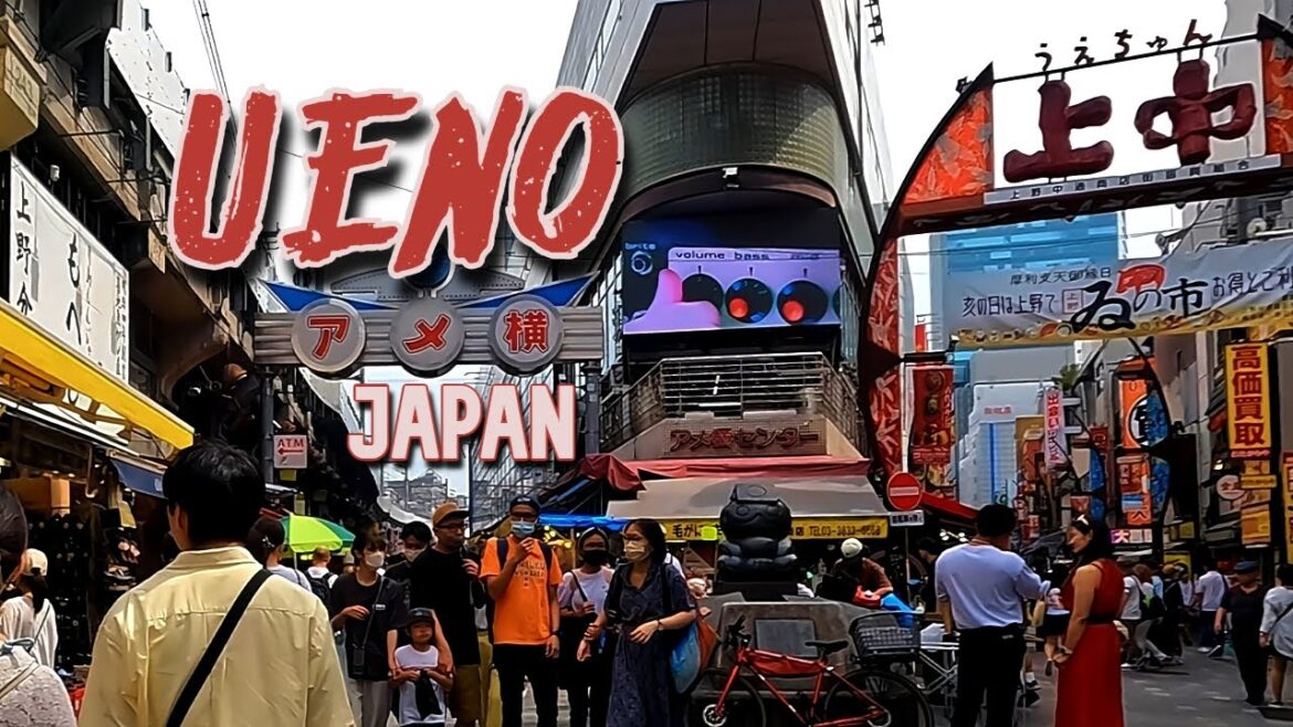 Exploring Ueno, Japan: Iconic Ameyoko Shopping Street & Vibrant Taiwanese Festival!