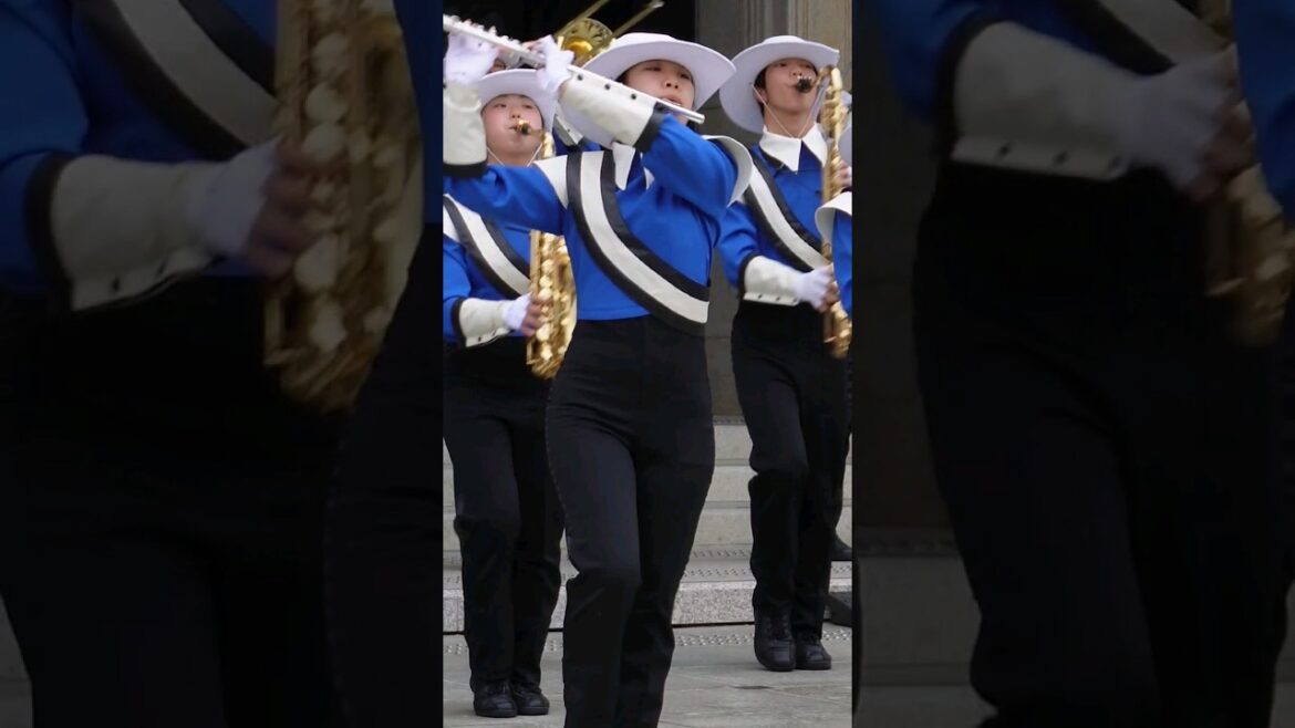 滝川第二高等学校吹奏楽部-2023京都さくらパレード#京都さくらパレード #滝川第二高等学校吹奏楽部 #京都 #Marching_Band 滝川第二高等学校吹奏楽部-2023京都さくらパレード#京都さくらパレード #滝川第二高等学校吹奏楽部 #京都 #Marching_Band