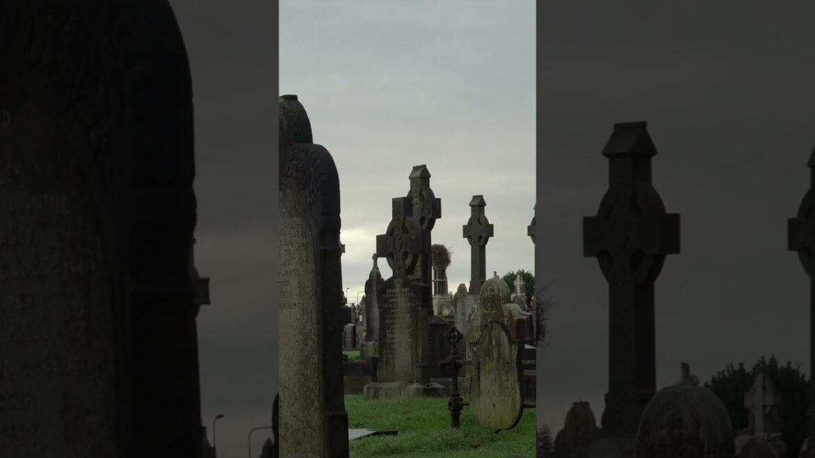 Visiting THE GRAVE OF GERRY CONLON at Milltown Cemetery! Visiting THE GRAVE OF GERRY CONLON at Milltown Cemetery!