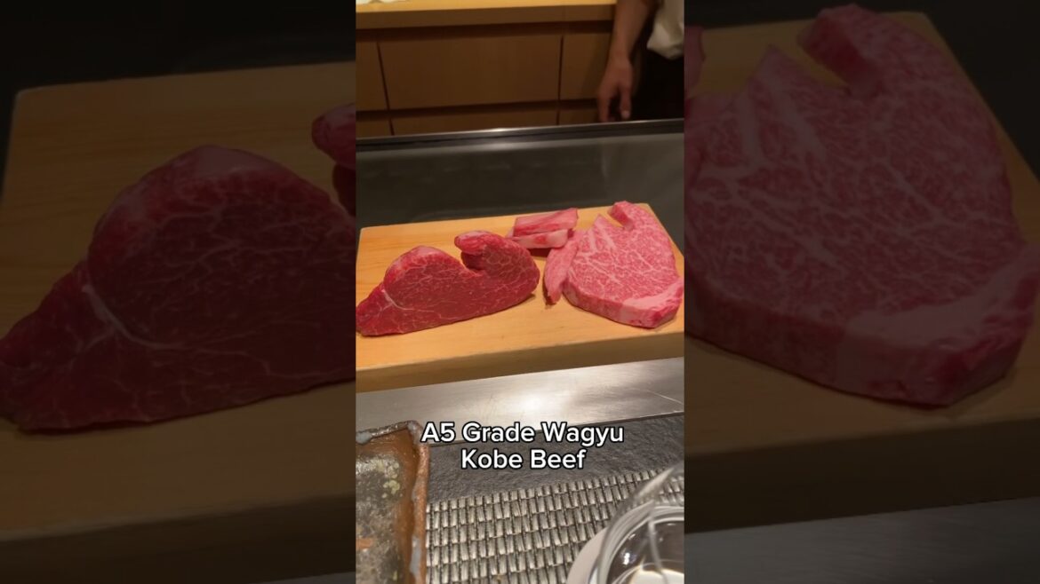 A5 Wagyu Kobe Beef #short #shorts