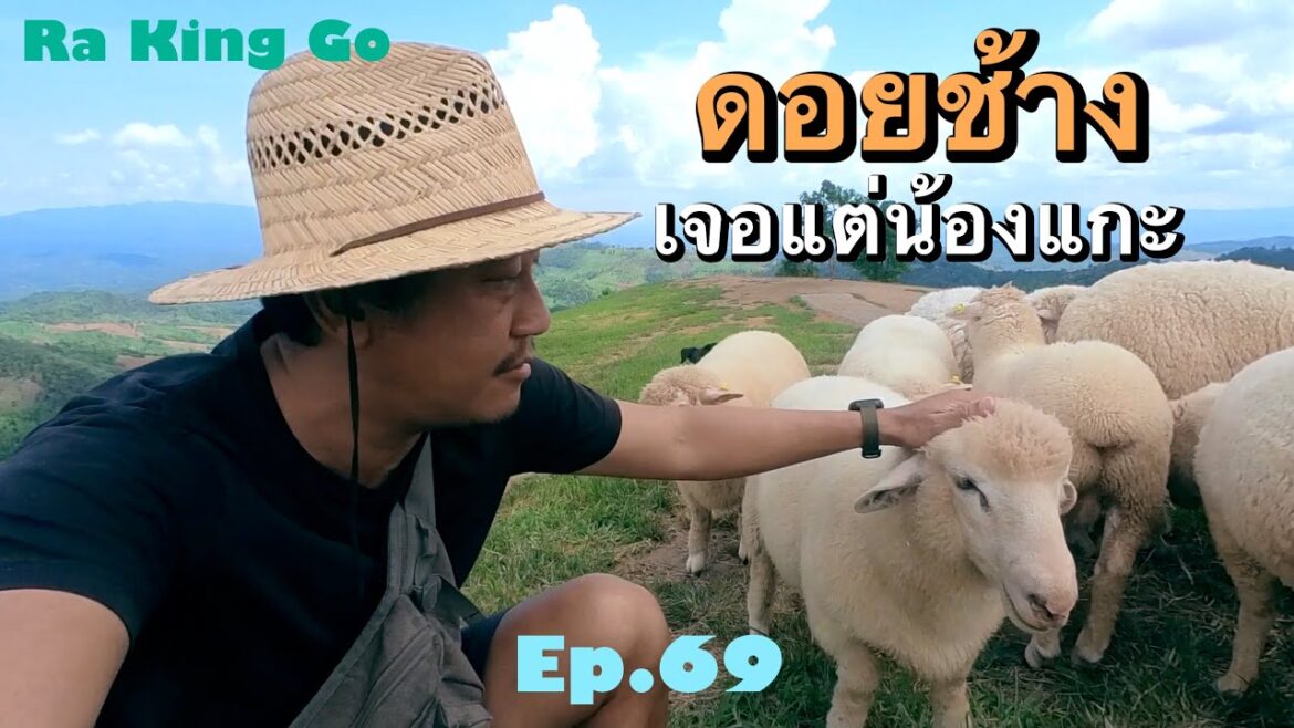 หิวกาแฟ ขี่มอเตอร์ไซด์ ไปดอยช้าง จ.เชียงราย | Ra King Go | Ep.69