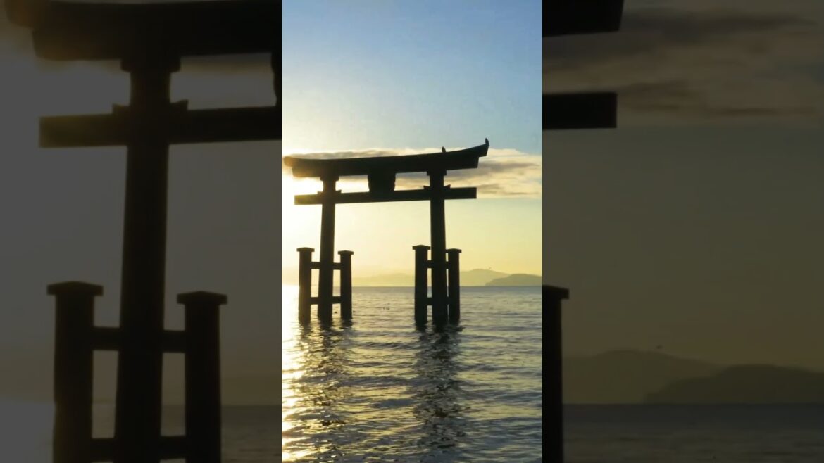 Unveiling the Beauty of Japan 4K Nature Vlog Journey #JapanIn4K #NatureVlog Unveiling the Beauty of Japan 4K Nature Vlog Journey #JapanIn4K #NatureVlog