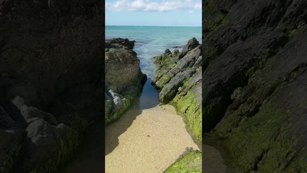 沖縄ビーチ Okinawa beach 2023: Tancha beach 谷茶ビーチ 沖縄ビーチ Okinawa beach 2023: Tancha beach 谷茶ビーチ