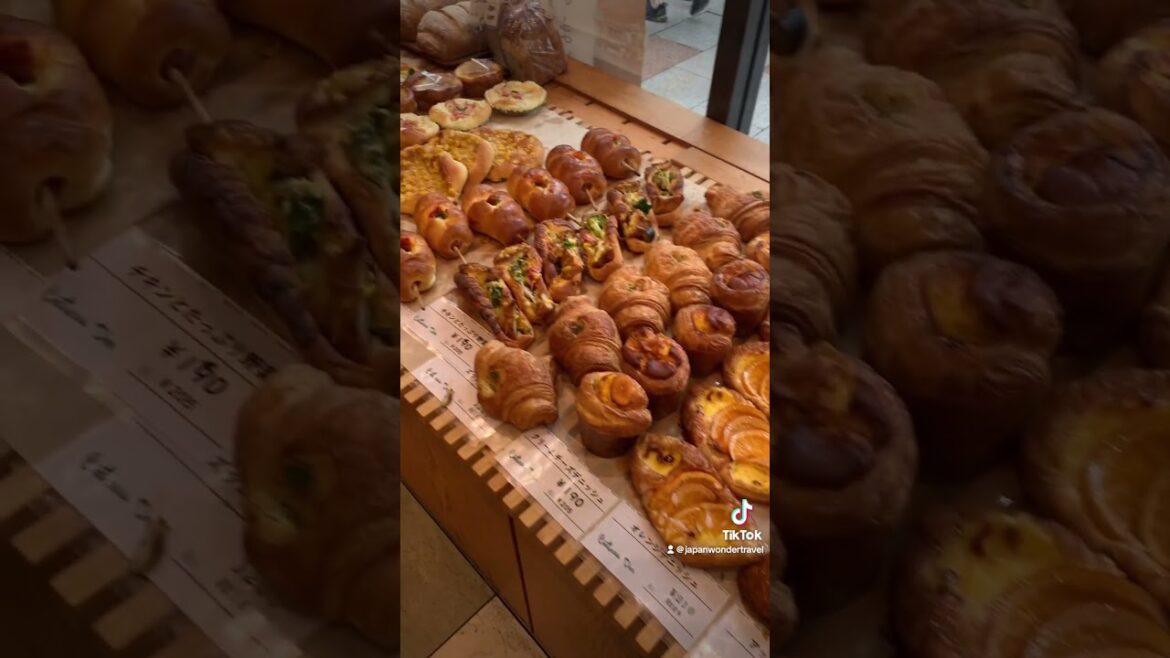 Come to Nara with me! #japan #travel #deer #kawaii