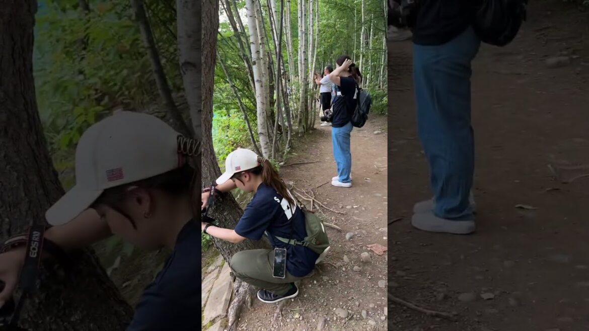 Shirogane Blue Pond Walk #walkingtour #japanwalkingtour #japanwalk