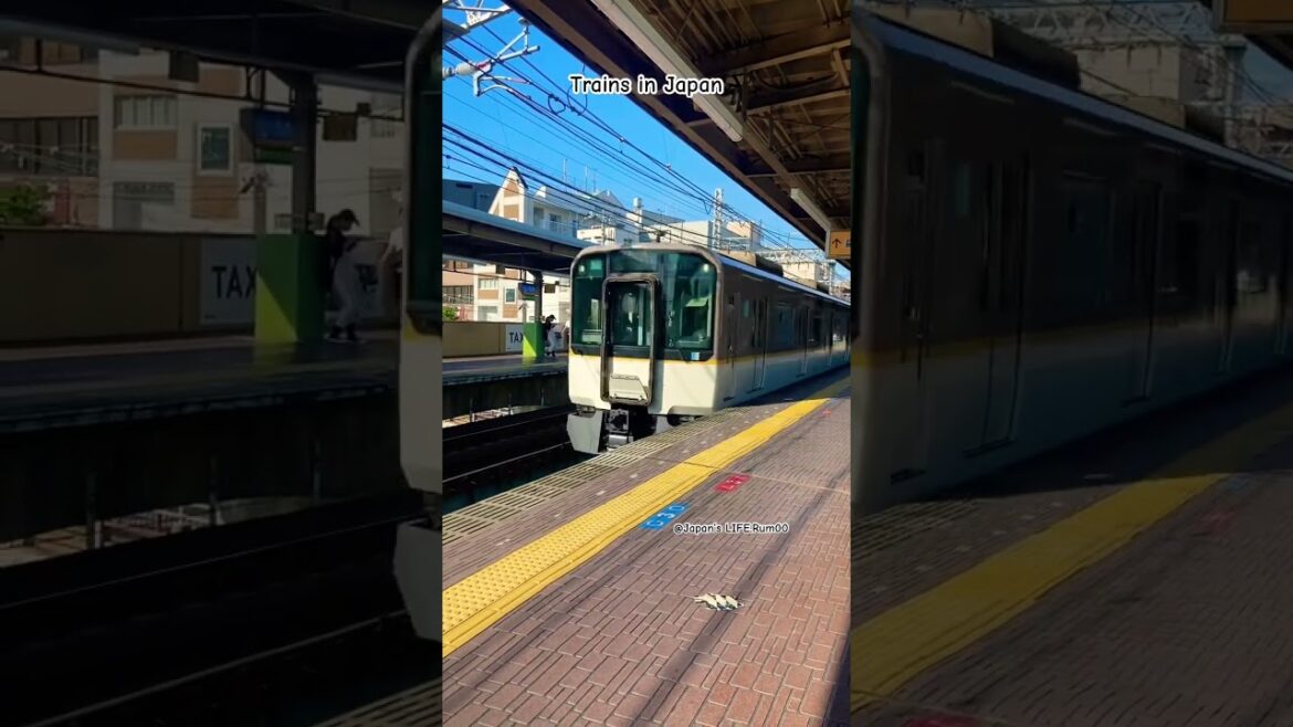 Train approaching in Japan #train #日本 #travel #asia  #railway #জাপান #railcrossing #shorts #japan