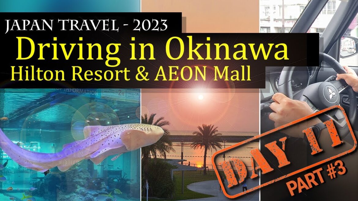 How to drive in Okinawa Japan? Okinawa Vlog, Hilton Chatan Resort, Aeon Mall Rycom, and More!